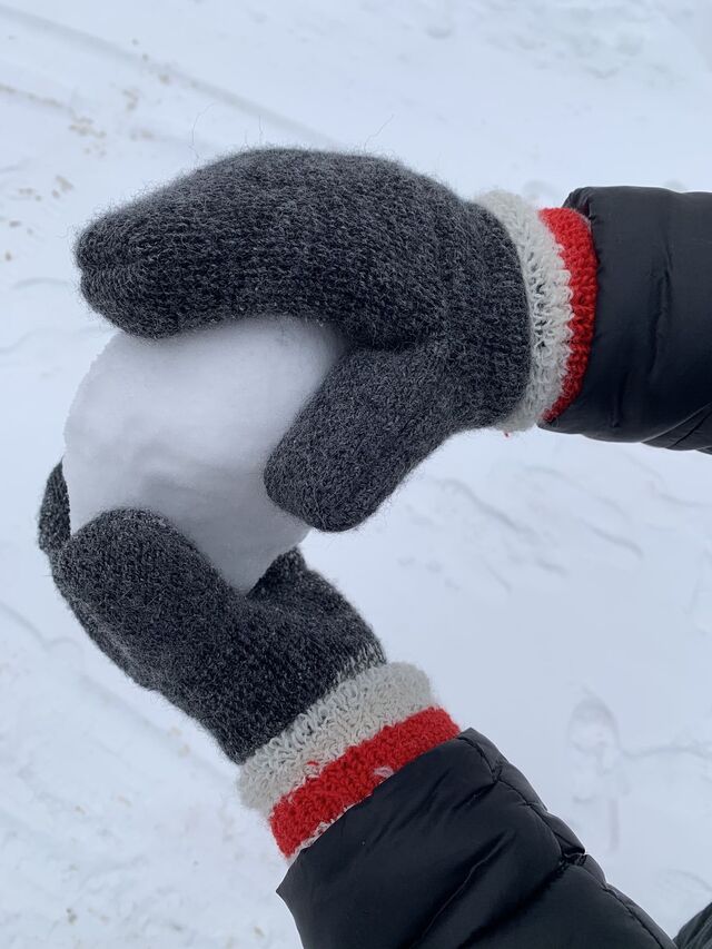 Alpaca Thermal Mittens Striped