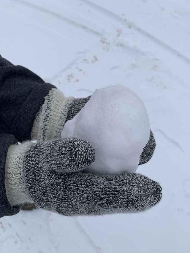 Alpaca Thermal Mittens