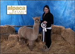 Melia Grand Champion