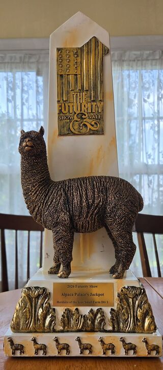 Photo of Alpaca Palace's Jackpot