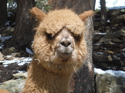 Photo of Dontworry B Happy SPBL