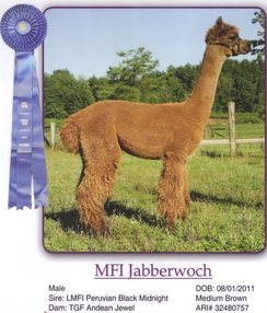 Photo of MFI Jabberwoch