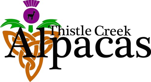Thistle Creek Alpaca Farm