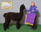 alpaca for sale