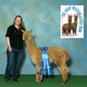 alpaca for sale