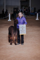 alpaca for sale