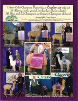 alpaca for sale
