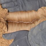 alpaca for sale