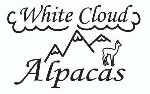 White Cloud Alpacas