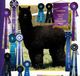alpaca for sale