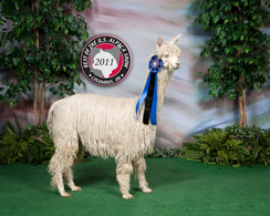 Photo of CCSS SCIPIO by TORBIO