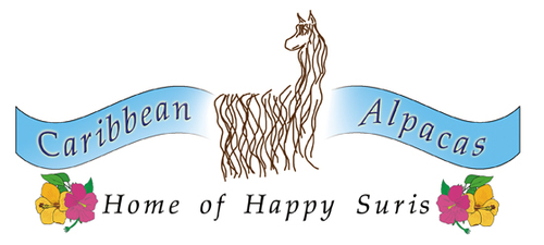 Caribbean Alpacas