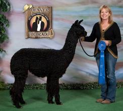 2011 Nationals