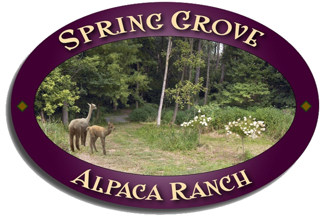 Spring Grove Alpaca Ranch