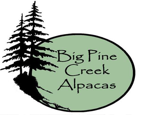 Big Pine Creek Alpacas, Sheep and Fibers