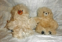 Photo of Bears 10
