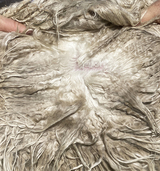 alpaca for sale