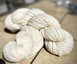 alpaca for sale