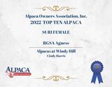 alpaca for sale