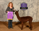 alpaca for sale