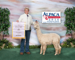 AOA Nationals Reserve Champion! AOA Nationals Reserve Champion!