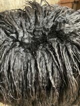 alpaca for sale