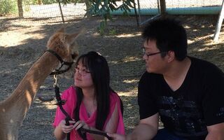 Photo of Ranch Tours
