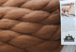 Photo of Alpaca Roving - Huacaya