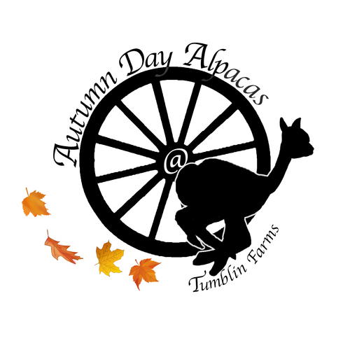 Autumn Day Alpacas