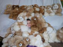 Photo of Bear Explosion Sale