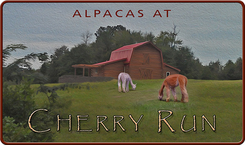 Cherry Run Fiber Arts Studio