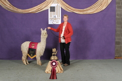 Futurity Judge's Choice