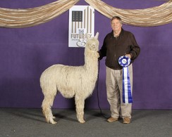 1st Place Futurity B & O 2019