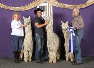 2022 Futurity Light Get of Sire Champion