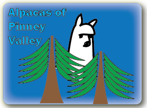 Alpacas Of Pinney Valley