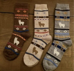 Photo of Alpaca Watching Socks - Youth Sizes