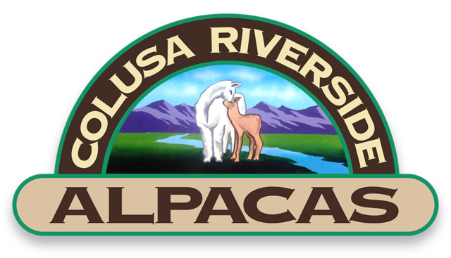 Colusa Riverside Alpacas