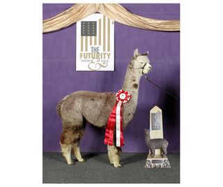 Photo of Dancing Elk’s Emmaline 