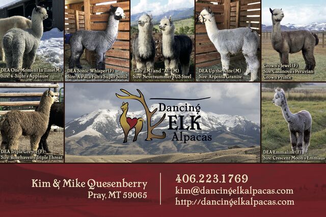 Dancing Elk Alpacas