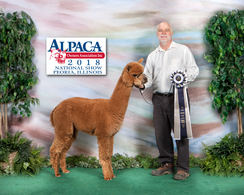 Photo of IPRA Galileo