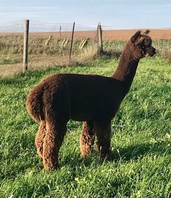 Truen at 2 years 