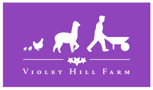 Violet Hill Farm