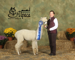 Photo of Gentle Breeze's Lilly
