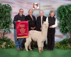 Photo of Gentle Breeze's Honorable Mention