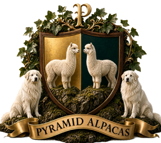 Pyramid Alpaca