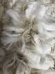 alpaca for sale