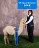 alpaca for sale