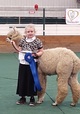 alpaca for sale