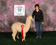 alpaca for sale