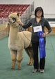alpaca for sale